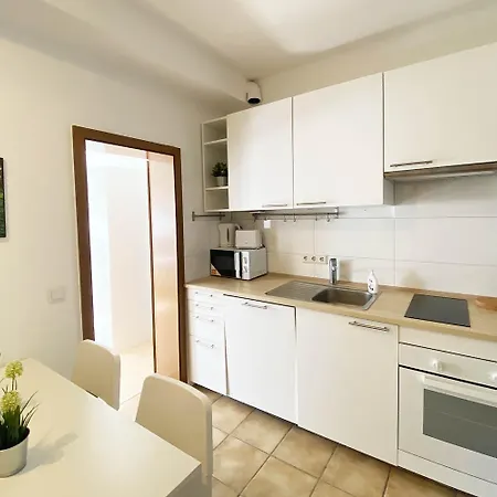 Apartament Modern & Chic With Terrace Or Balcony