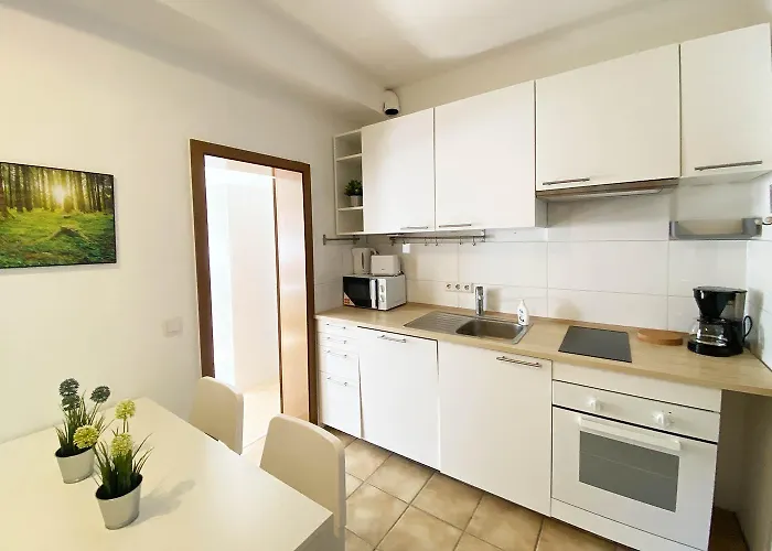 Apartment Modern & Chic With Terrace Or Balcony